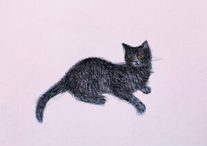 Postkarte Black Cat