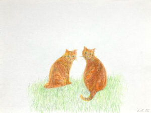 Blick zurück – Irina Lorez