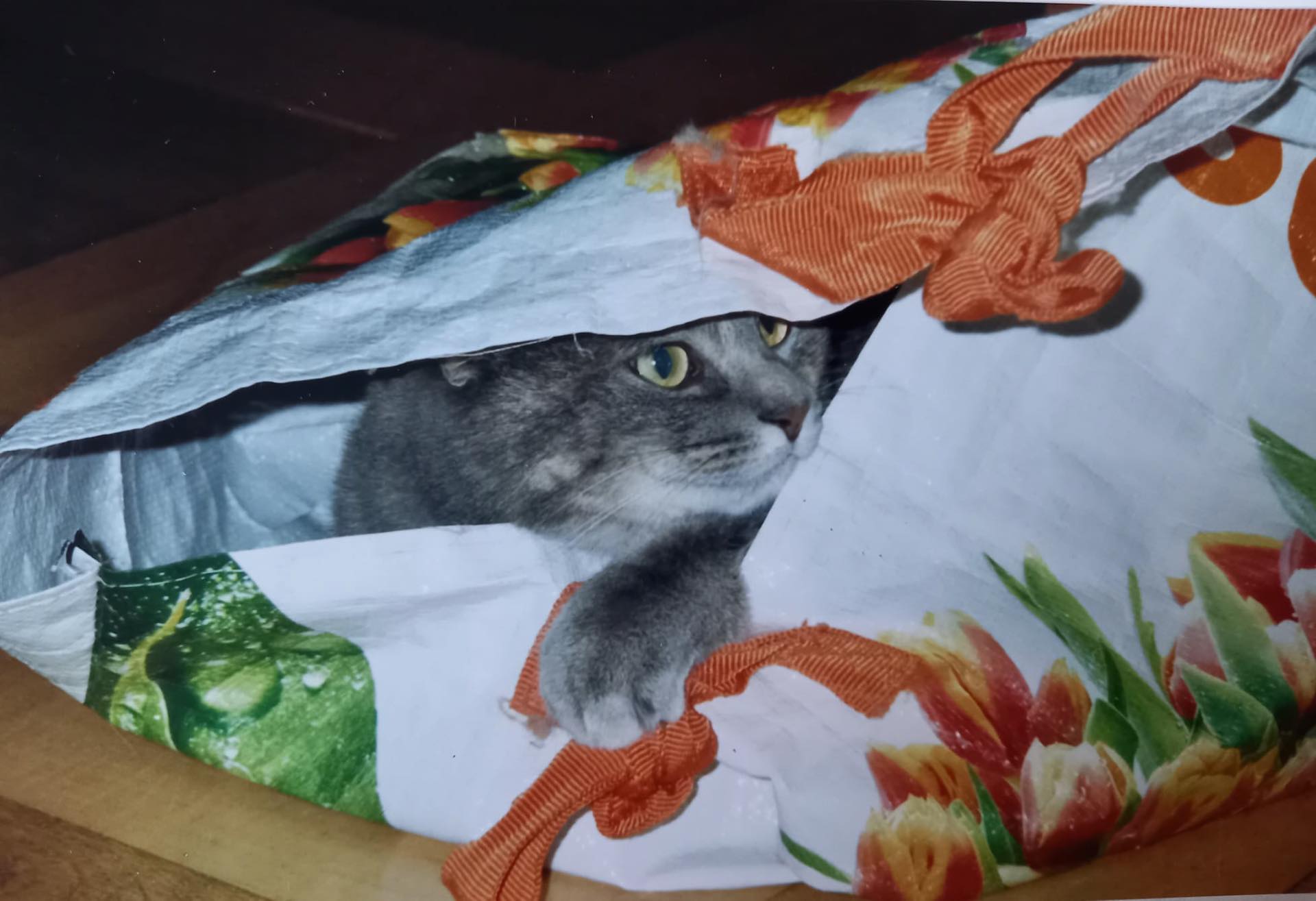 probuesi-psira-im-sack